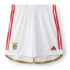 Benfica Home Fotbalové šortky 23/24-Pánské